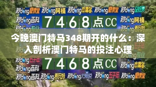 今晚澳门特马348期开的什么：深入剖析澳门特马的投注心理