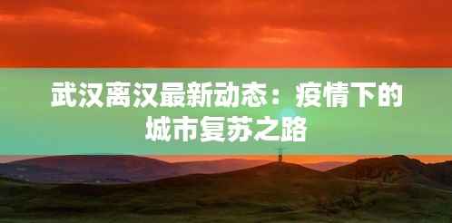 武汉离汉最新动态:疫情下的城市复苏之路