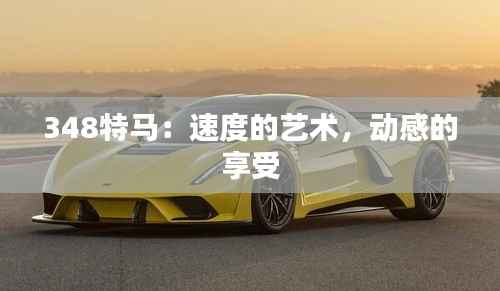 348特马：速度的艺术，动感的享受