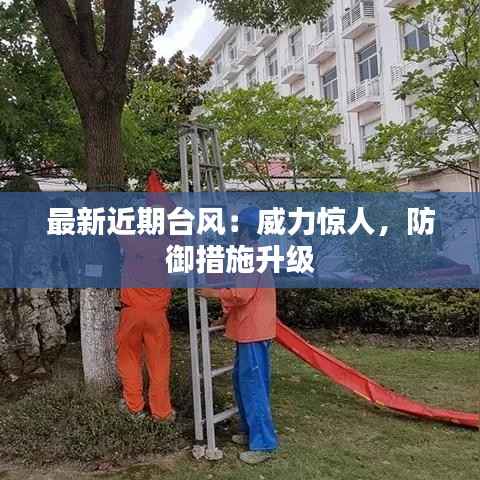 最新近期台风:威力惊人,防御措施升级