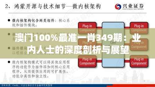 澳门100%最准一肖349期:业内人士的深度剖析与展望