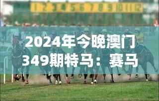 2024年今晚澳门349期特马:赛马盛宴,谁能成为今晚之星