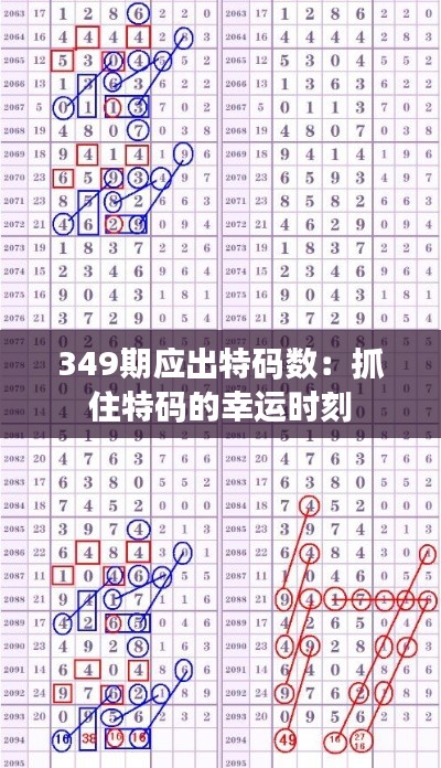 349期应出特码数:抓住特码的幸运时刻