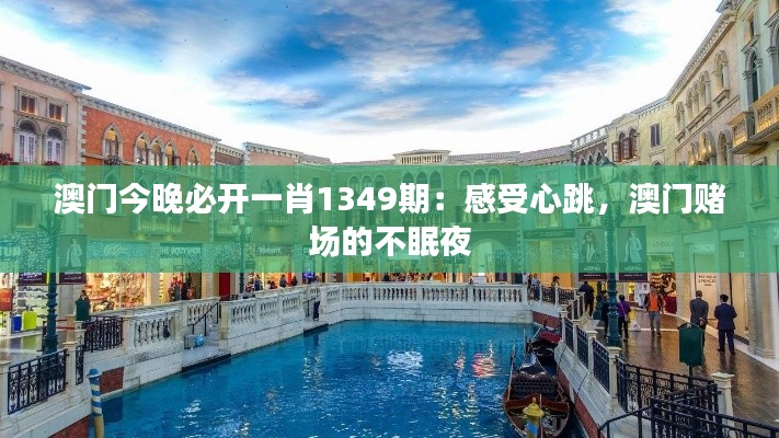 澳门今晚必开一肖1349期:感受心跳,澳门赌场的不眠夜