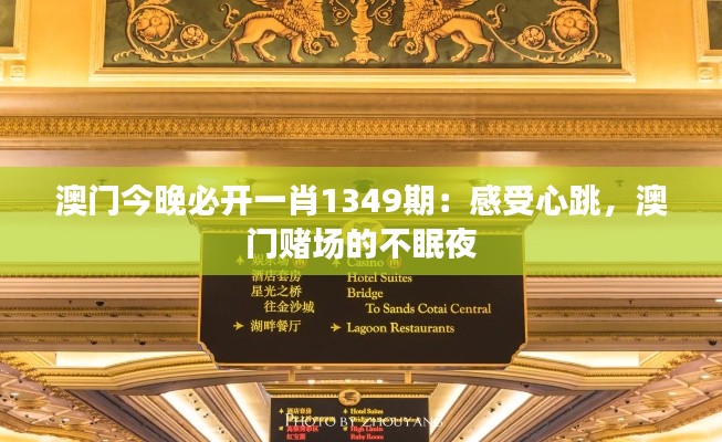 澳门今晚必开一肖1349期:感受心跳,澳门赌场的不眠夜