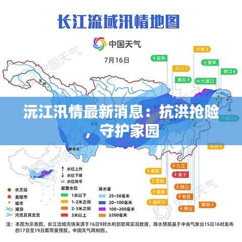 沅江汛情最新消息:抗洪抢险,守护家园