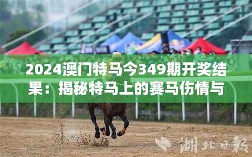 2024澳门特马今349期开奖结果：揭秘特马上的赛马伤情与幸运逆转