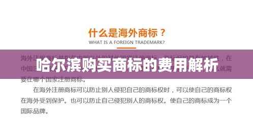 哈尔滨购买商标的费用解析