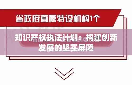 知识产权执法计划:构建创新发展的坚实屏障