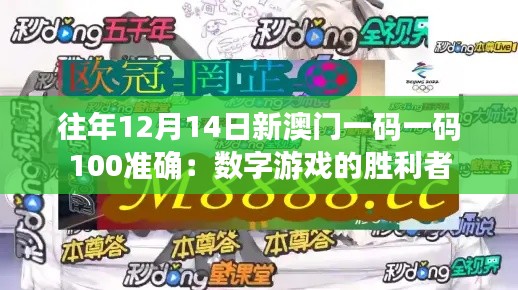 往年12月14日新澳门一码一码100准确:数字游戏的胜利者