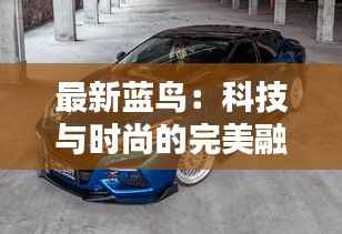 最新蓝鸟:科技与时尚的完美融合
