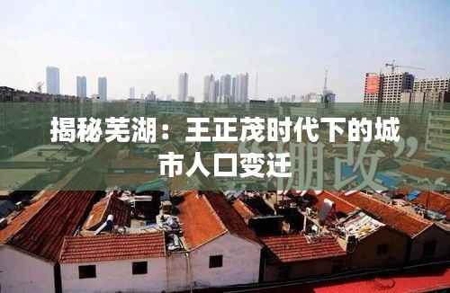 揭秘芜湖:王正茂时代下的城市人口变迁
