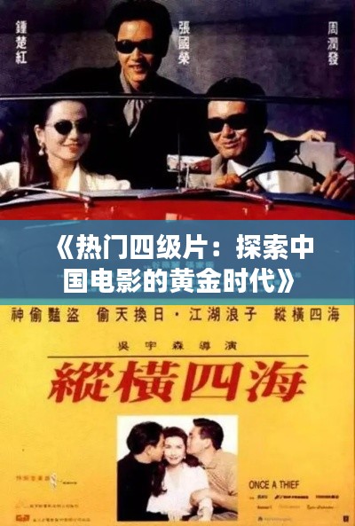 《热门四级片:探索中国电影的黄金时代》