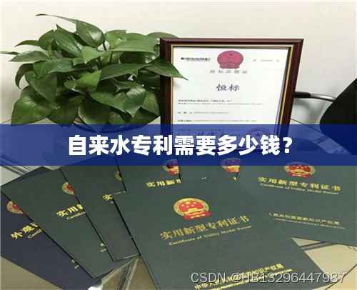 自来水专利需要多少钱?