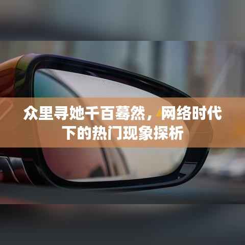 众里寻她千百蓦然，网络时代下的热门现象探析