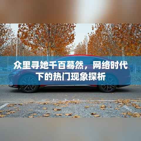 众里寻她千百蓦然,网络时代下的热门现象探析