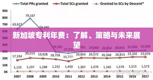 新加坡专利年费:了解、策略与未来展望