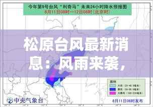 松原台风最新消息：风雨来袭，全力应对