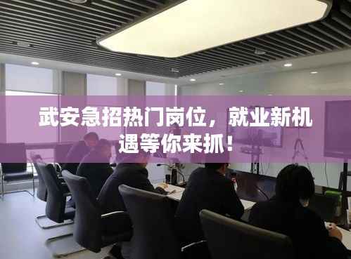 武安急招热门岗位,就业新机遇等你来抓!