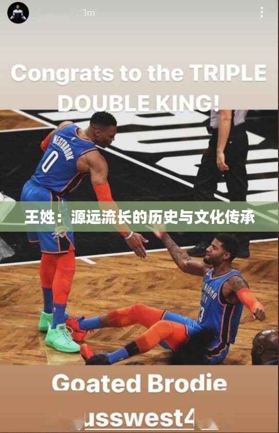 王姓:源远流长的历史与文化传承