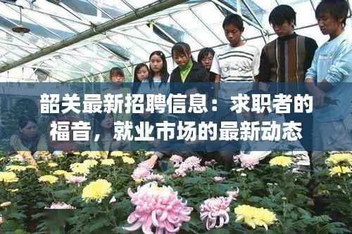 韶关最新招聘信息:求职者的福音,就业市场的最新动态