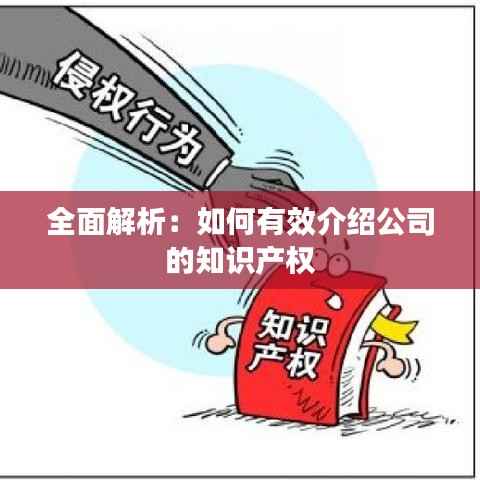 全面解析:如何有效介绍公司的知识产权