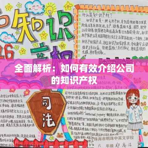 全面解析:如何有效介绍公司的知识产权