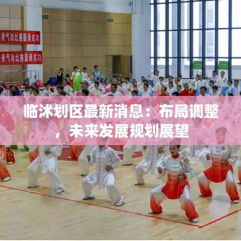 临沭划区最新消息:布局调整,未来发展规划展望