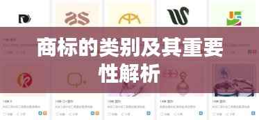 商标的类别及其重要性解析