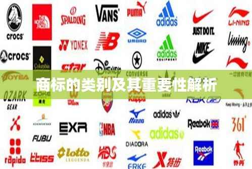 商标的类别及其重要性解析
