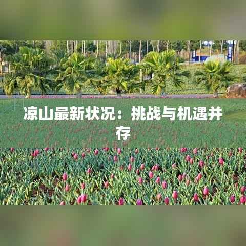 凉山最新状况:挑战与机遇并存