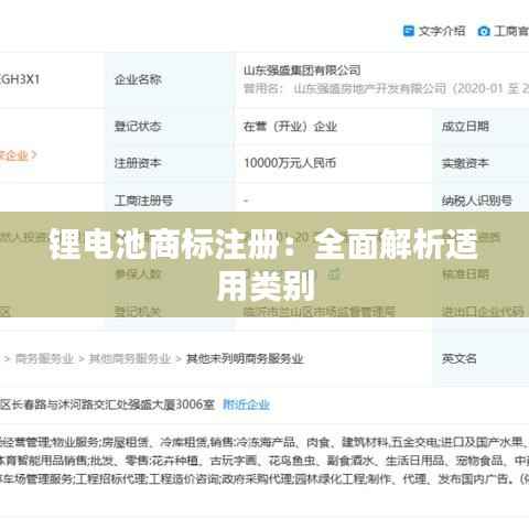 锂电池商标注册:全面解析适用类别