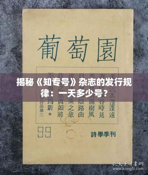 揭秘《知专号》杂志的发行规律:一天多少号?