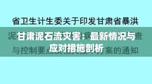 甘肃泥石流灾害:最新情况与应对措施剖析