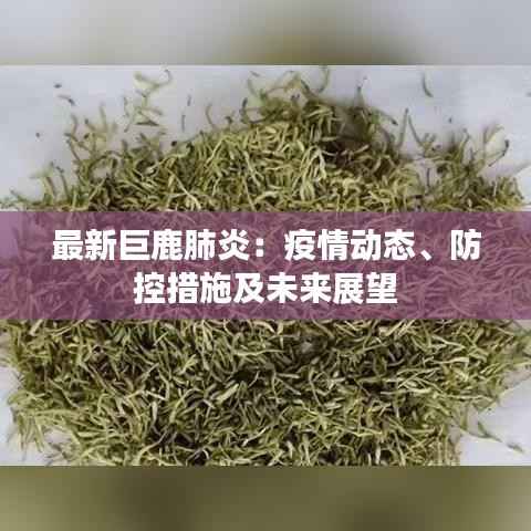 最新巨鹿肺炎:疫情动态、防控措施及未来展望