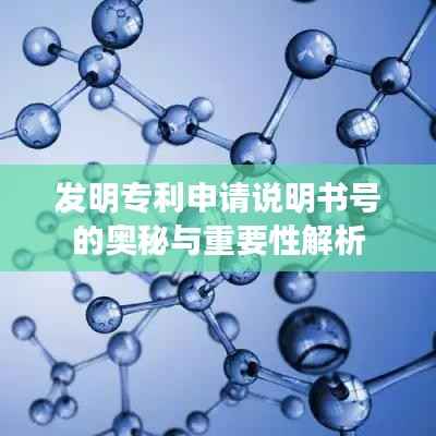 发明专利申请说明书号的奥秘与重要性解析