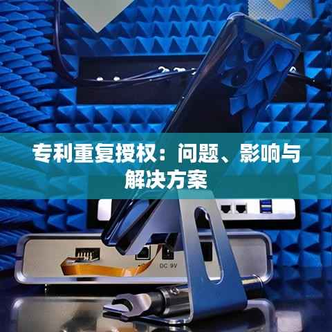 专利重复授权：问题、影响与解决方案