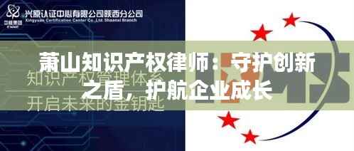 萧山知识产权律师:守护创新之盾,护航企业成长