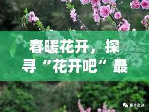 春暖花开,探寻“花开吧”最新地址的温馨之旅