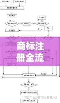 商标注册全流程解析：分阶段详解注册过程