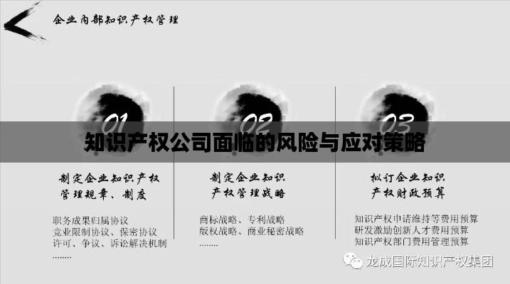 知识产权公司面临的风险与应对策略