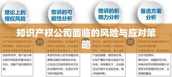 知识产权公司面临的风险与应对策略