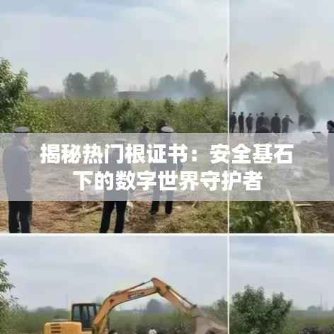 揭秘热门根证书:安全基石下的数字世界守护者