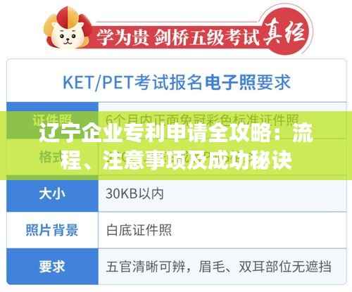 辽宁企业专利申请全攻略:流程、注意事项及成功秘诀