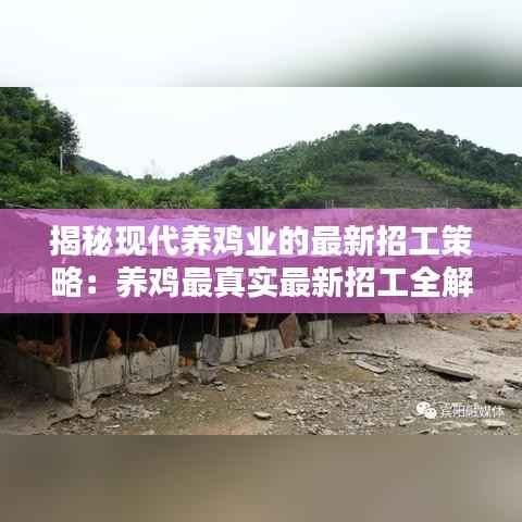 揭秘现代养鸡业的最新招工策略:养鸡最真实最新招工全解析