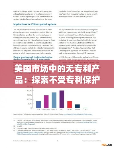 美国市场中的无专利产品:探索不受专利保护的商品世界