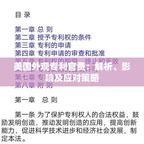 美国外观专利官费：解析、影响及应对策略