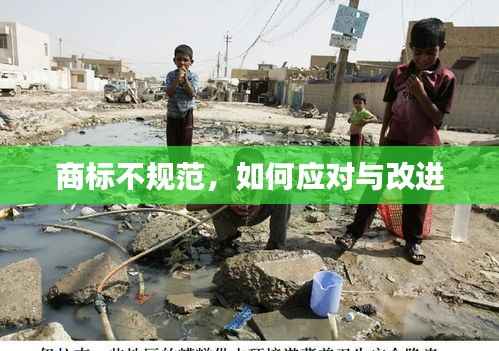 商标不规范,如何应对与改进