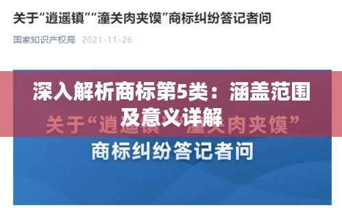 深入解析商标第5类：涵盖范围及意义详解