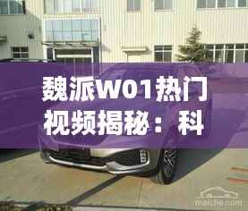 魏派W01热门视频揭秘：科技与时尚的完美融合
